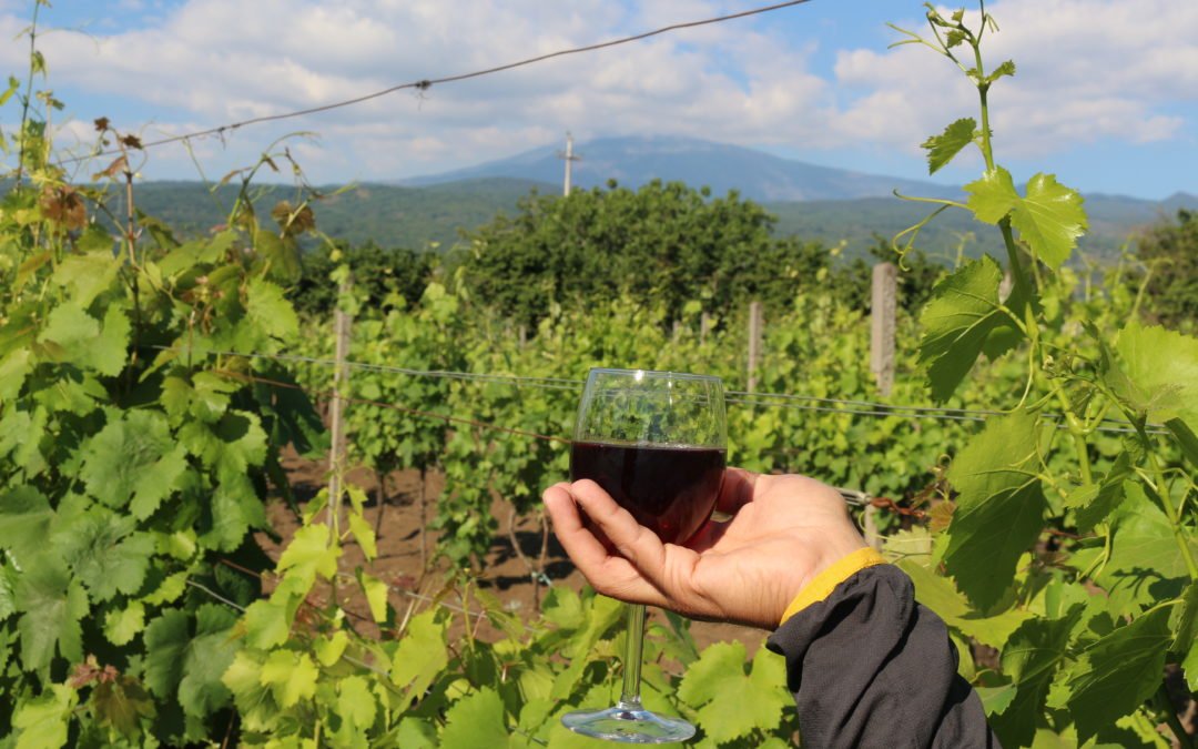 Escursioni sull’Etna e degustazione di vino in cantina