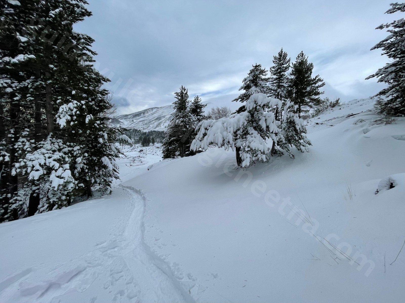 Escursione invernale sull'Etna Escursione invernale sull'Etna